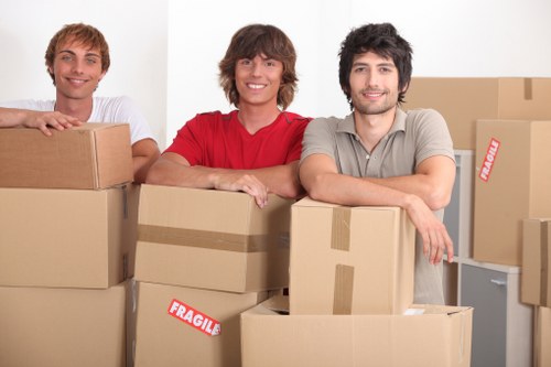 Belmont apartment relocation with careful access planning